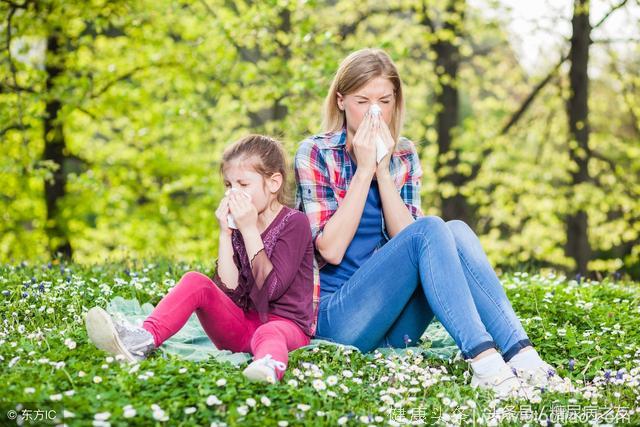 春季小心花粉过敏性鼻炎复发 五种方法轻松治鼻炎