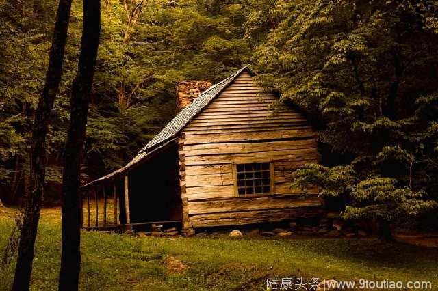 心理测试：4个小木屋，你最想住哪个？测你这辈子有多好命！