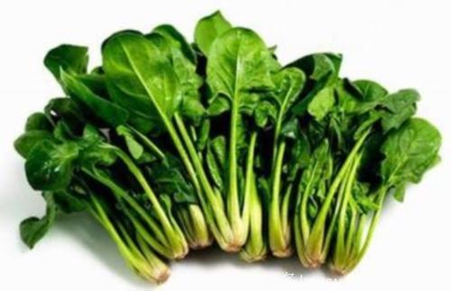 菠菜有哪些营养功效？研究发现吃菠菜可以保持老人脑力活力