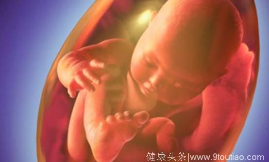 怀孕后胎儿有这6种表现，说明宝宝是个“调皮鬼”