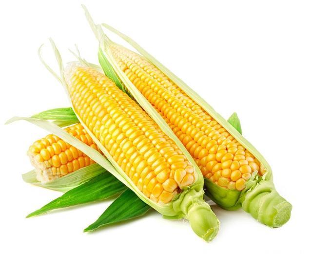 糖尿病：吃玉米可以降糖吗？
