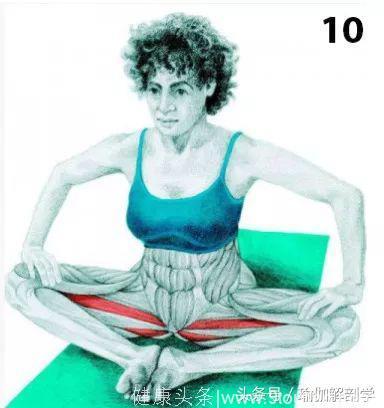 16张瑜伽基础体式解剖图，瑜伽初学者科学拉伸很重要！
