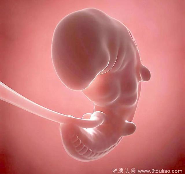 怀孕的准妈妈们 一定不要做这几件事 严重的会导致死胎