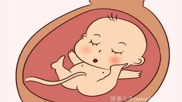 这四个时间段胎动最为活跃，你在怀孕的时候，有否感受到呢