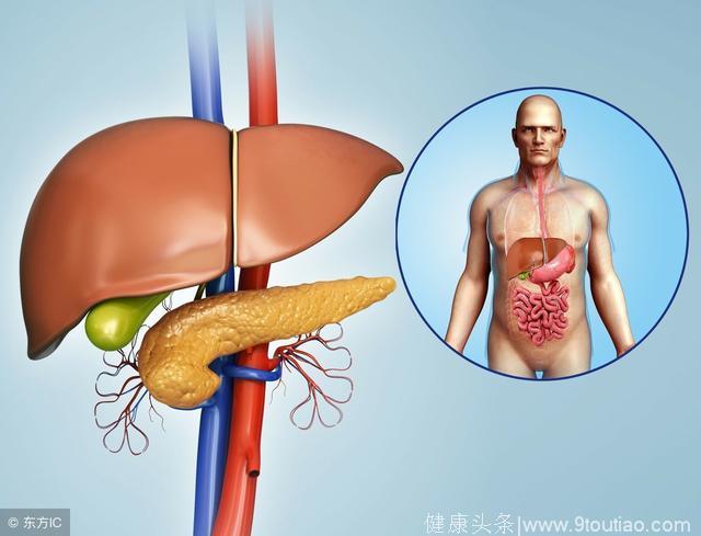 尿液反映肝脏情况，这些状态的尿液，是肝病的征兆