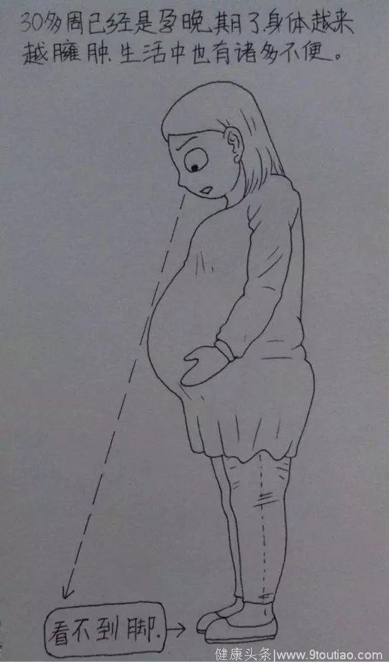 从结婚到怀孕，这个鞍山小伙把老婆日常画成漫画…