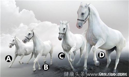 灵签占卜：四匹白龙马选一匹，测试你一生中潜藏了多少荣华富贵？