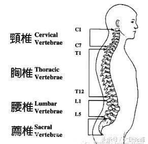 骨科专家韦以宗：久坐伤腰！整天坐办公室，三个动作保护颈椎和腰