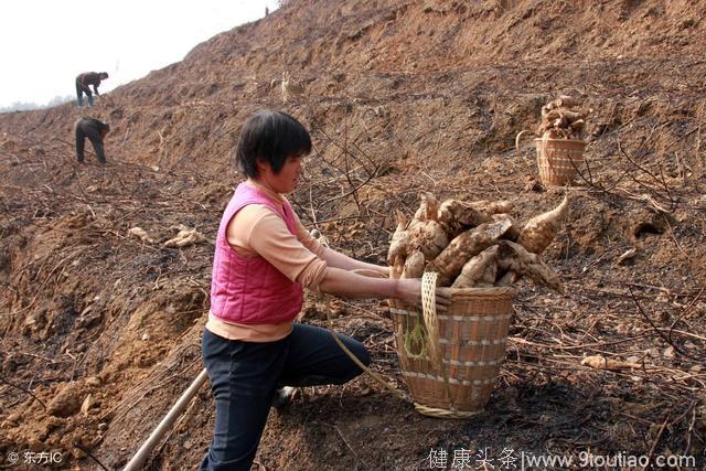 医生苦苦相劝：痛风、高尿酸患者戒掉这5种食物，好起来不难