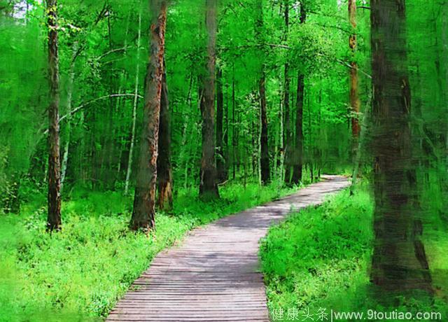 心理测试：三条森林小路你会走哪一条，测你将来会有多幸福？