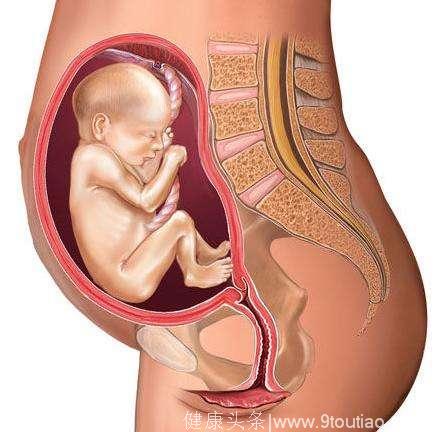 怀孕后，如果孕妈身上出现这4个特征，说明胎宝宝正健康发育呢