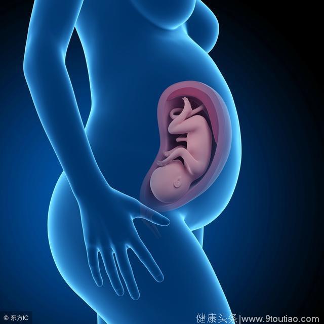 怀孕期间，孕妇要多吃这6种常见食物，利于胎儿大脑发育！