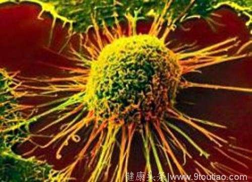 癌症可能有救了！最新研究确定APC蛋白是抑制癌症生长的关键