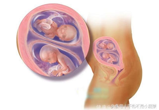 双胞胎宝宝1-10月，在妈妈肚子里变化过程，怀孕妈妈真伟大！