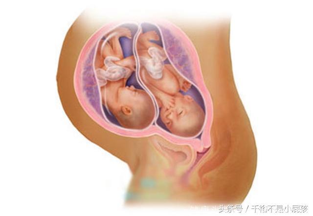 双胞胎宝宝1-10月，在妈妈肚子里变化过程，怀孕妈妈真伟大！