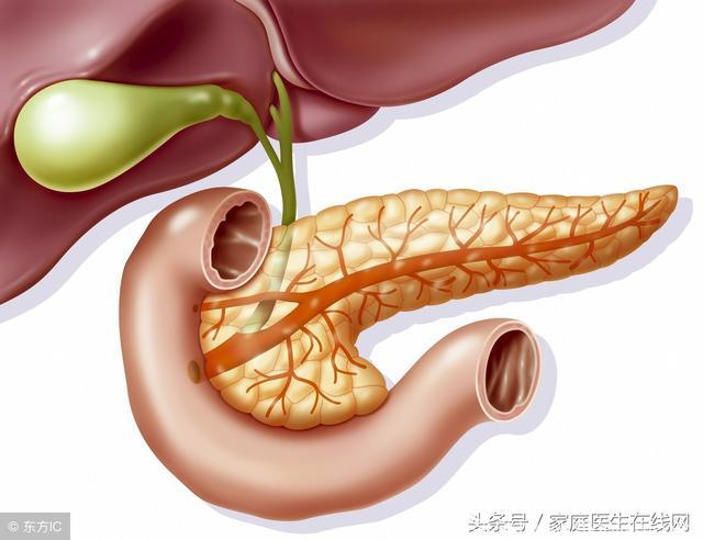 一检查就是癌症之王胰腺癌? 可能是4个“警报”被忽略了