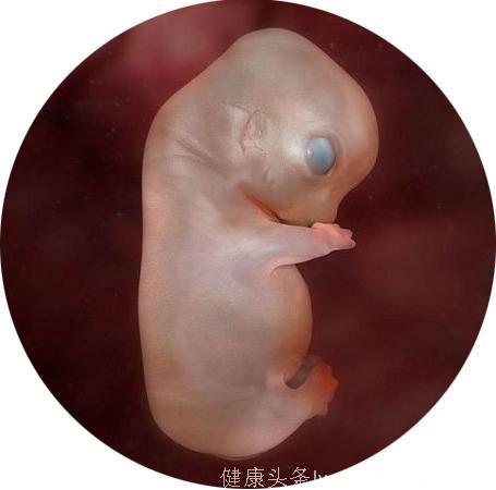 胚胎停止发育人工流产后，一定要半年后才能怀孕吗……