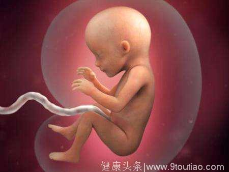胎宝宝在子宫里玩什么？