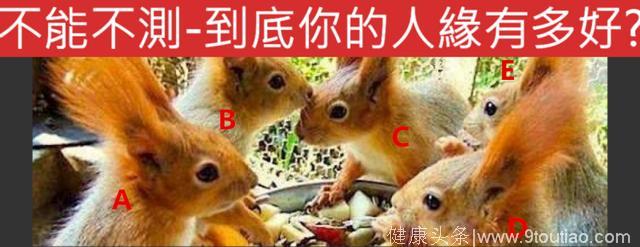 心理测试：哪只小松鼠最机灵？测试你的人缘到底有多好？