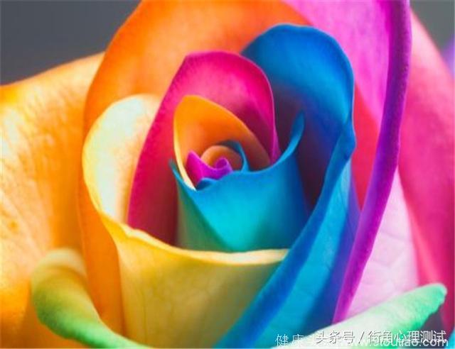 灵签占卜：4朵七彩玫瑰选一朵，测你在异性面前隐藏了什么性格？