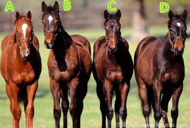 心理测试：4匹宝马选一匹，测出你在财运上有什么先天优势？