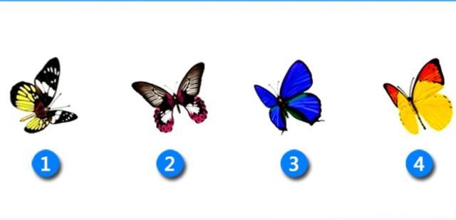 心理测试：选一只蝴蝶，测试下半年的你招来什么好运？