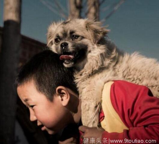 母亲去世父亲外出打工，农村10岁男孩，背着怀孕的狗狗上学！