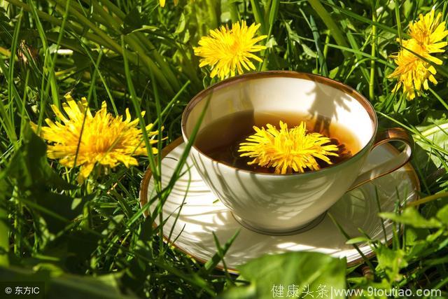 健康养生——春季适宜喝的养生茶