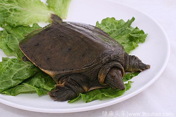 因为吃了这六种食物，差点流产了！宝妈们千万要注意了！