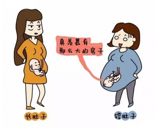 为什么怀孕以后，同月龄的准妈妈肚子比我小呢？