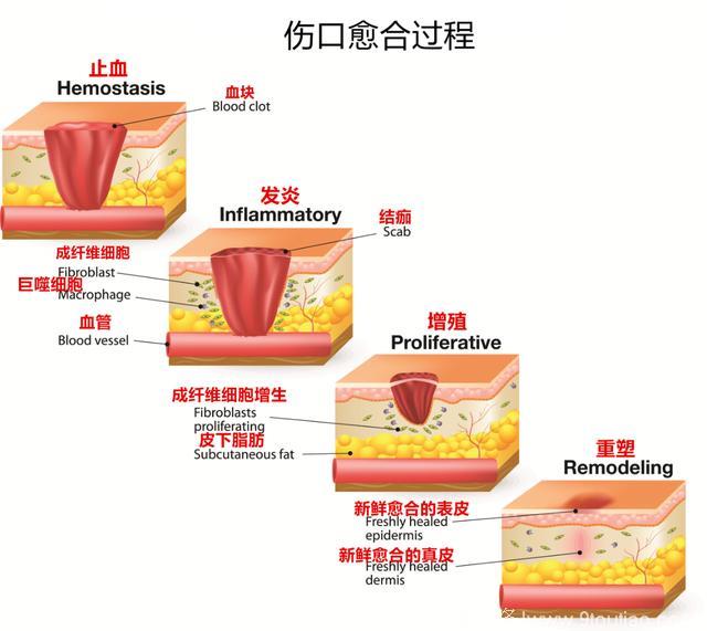 5年怀孕6次，拿生命冒险的那位孕妇最后怎么样了