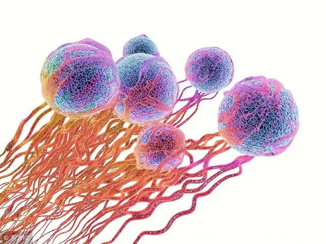 肿瘤专家：癌症患者体内癌细胞扩散那么快！原因究竟是什么？
