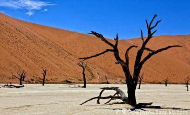 心理测试：4片沙漠，哪片最容易迷路？测出谁才是最在乎你的人！