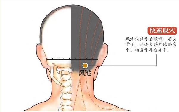 15个超级有效穴位，推荐学习