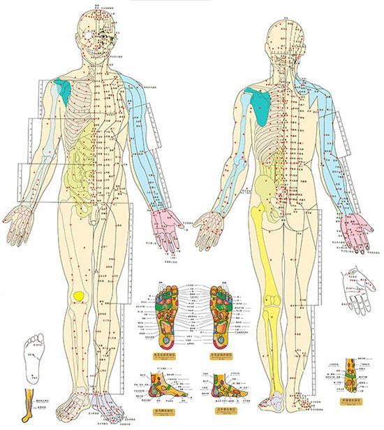 身体各个部位的穴位，一目了然