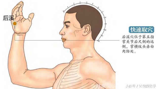 穴位养生｜落枕颈椎、腰椎问题、眼睛急性腰扭伤都和这个穴位有关