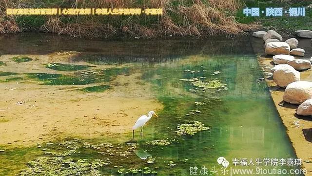 我重度抑郁的城市情结丨也许正是你的城市让你抑郁焦虑的