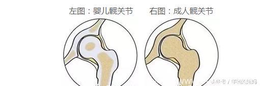 用背巾会对宝宝脊椎或关节不好