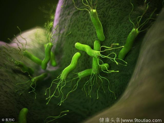 胃炎最怕的4种天然食物，每天吃一口，扫光幽门螺旋杆菌