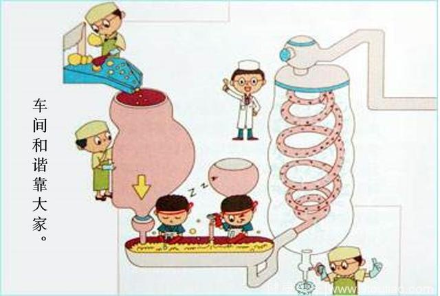 儿童腹泻专题｜儿童腹泻与乳糖酶