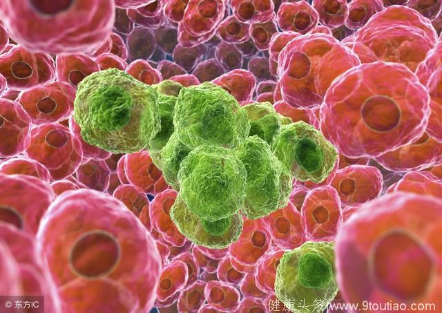 最新研究发现，抗真菌药物能够有效消灭休眠的癌细胞