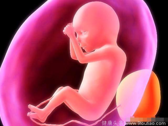 除了怀孕的前3个月，其实这个月份，肚子里的胎儿也很脆弱！