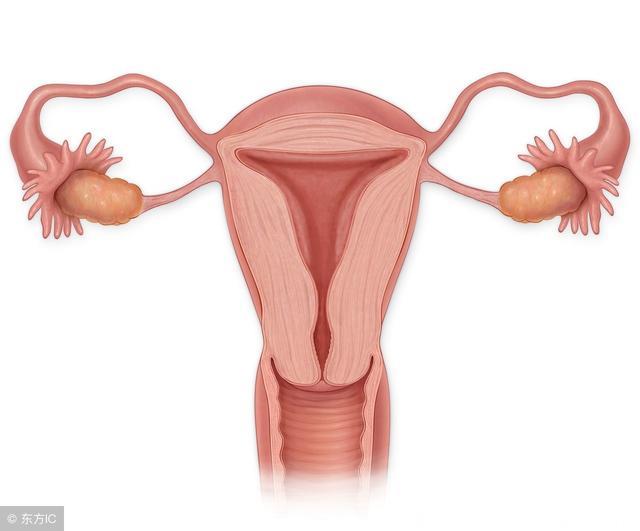 女性月经不调当防子宫肌瘤，预防要注重日常生活