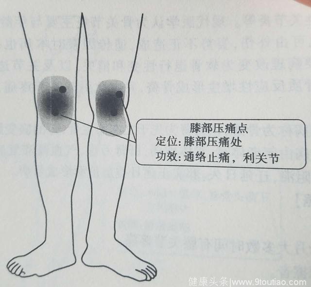 中医灸疗师说艾灸：膝关节疼痛，艾灸灸哪些穴位？