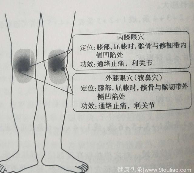 中医灸疗师说艾灸：膝关节疼痛，艾灸灸哪些穴位？