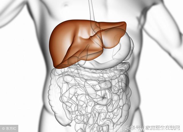 肝脏是“沉默”的，如果有这5个异常，那是肝脏在呼救