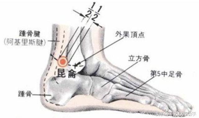 穴位养生｜足跟痛、项强、腰骶疼痛、足踝肿痛常按昆仑腿不疼