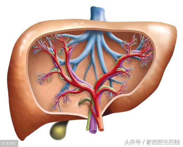 得了脂肪肝，还在吃这3类食物？当心医生都救不了你