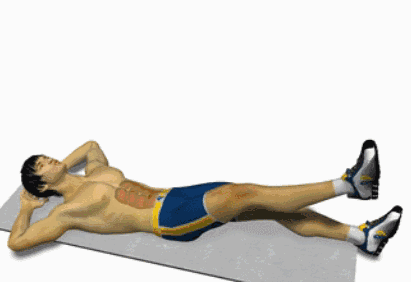全新3D讲解胸肌和腹肌的锻炼方法 再也不用担心练错位置