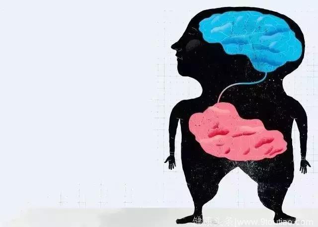 当肠道细菌改变大脑功能时，不自闭不抑郁不焦虑